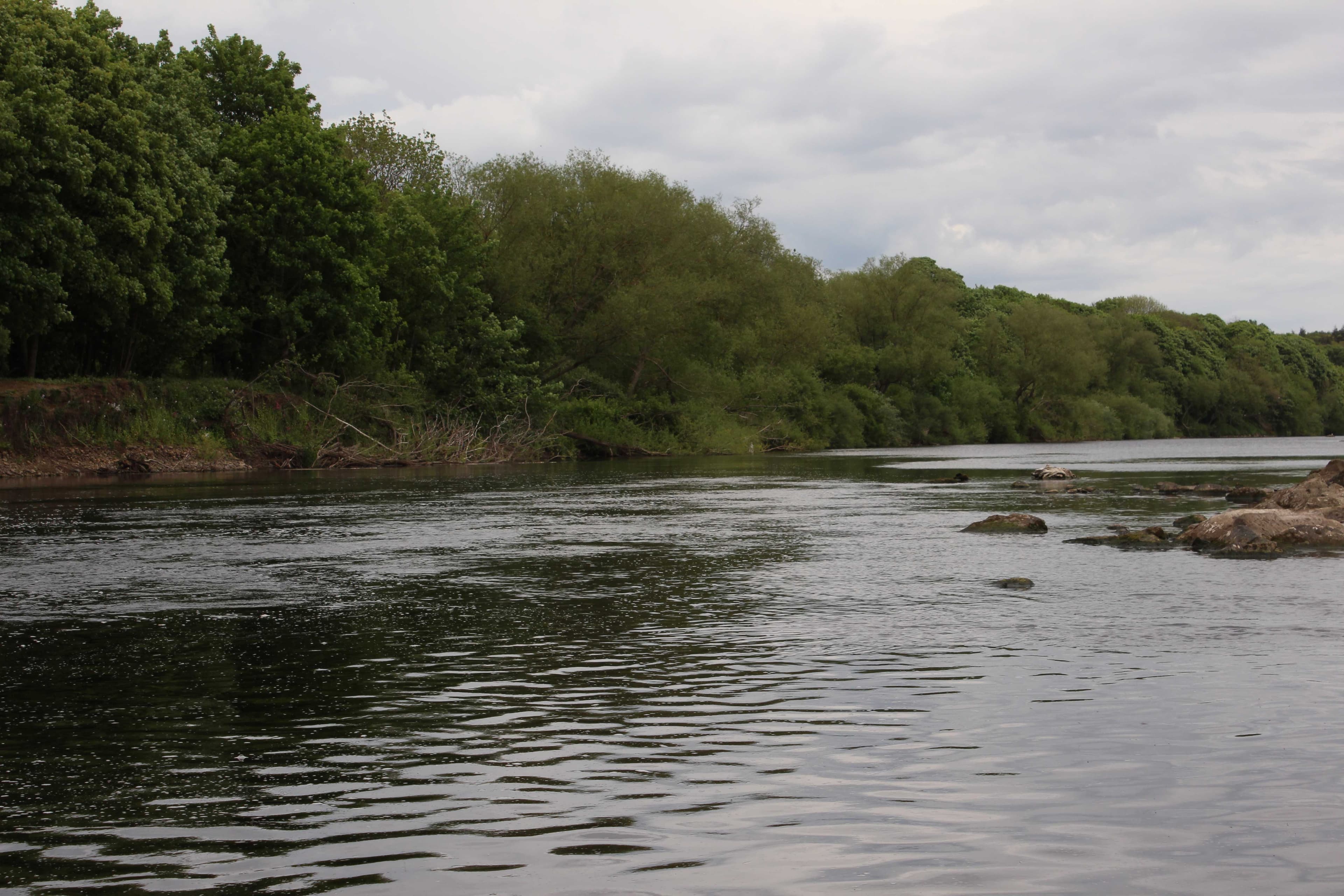 A view across the River South Tyne near association water.